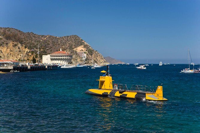 Catalina Island Trip with Hotel transfers & Optional tours - Frequently Asked Questions