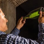 Catalonia: Unique, bespoke wine cellar visits - Price & Value