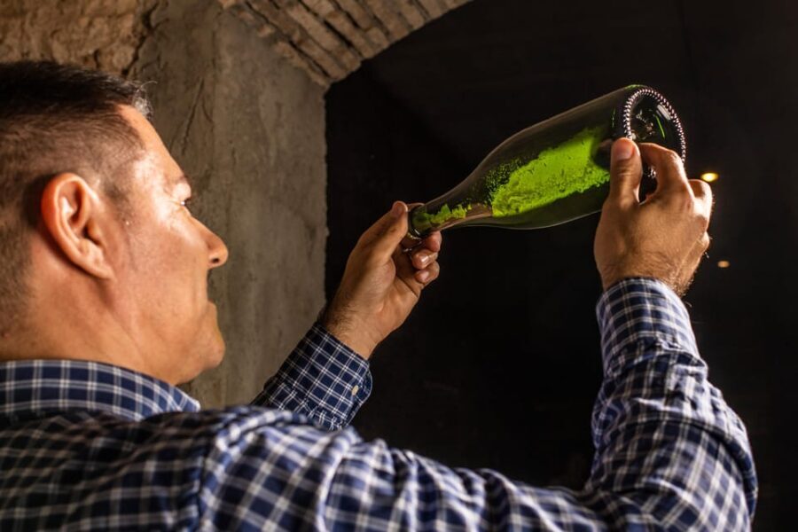 Catalonia: Unique, bespoke wine cellar visits - Price & Value