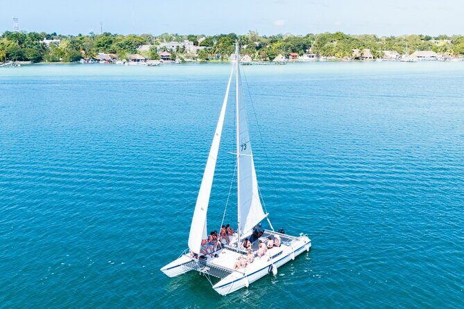 Catamaran Adventure: Navigate the Seven Colors - What Could Be Better?