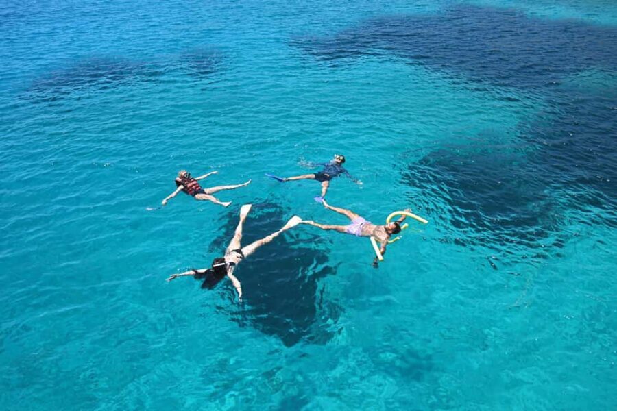 Catamaran Cruise to Elafonisi & Kedrodasos: Lunch & Open Bar - The Cruise Itinerary: What to Expect