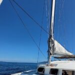 Catamaran from La Caletta - Sardinia - Capo Comino-Berchida - FAQs