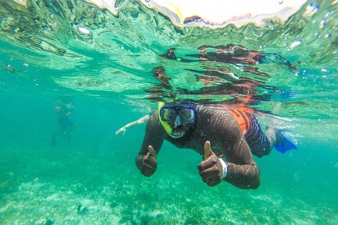 Catamaran Group Sightseeing, Snorkeling Tour Isla Mujeres - Who is This Tour Best Suited For?