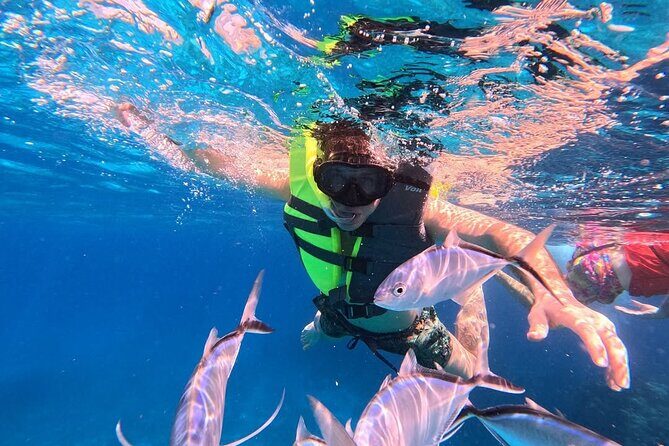 Catamaran in Cozumel with snorkeling at El Cielo and open Bar - Final Thoughts