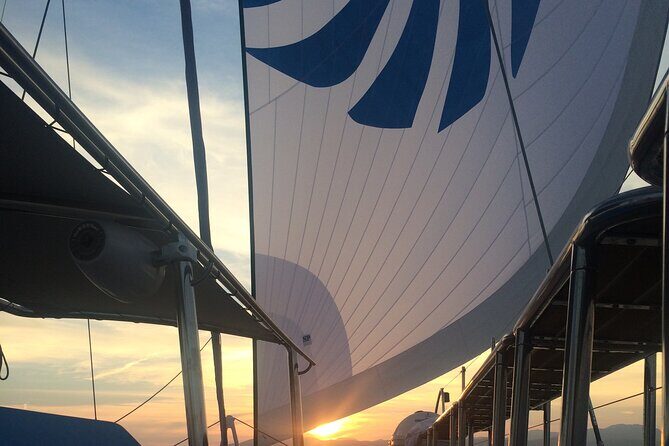 Catamaran sailing at sunset with tapas Palma de Mallorca - Analyzing the Value and Practicalities