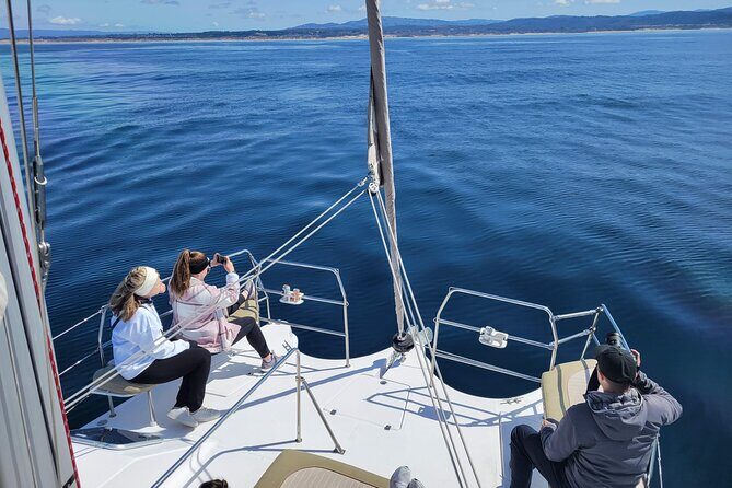 Catamaran Sailing Cruise in Monterey - The Experience: Why People Love It