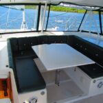 Catamaran Sailing Dolphin/Manatee Watch in Daytona Beach - Who Should Consider This Tour?