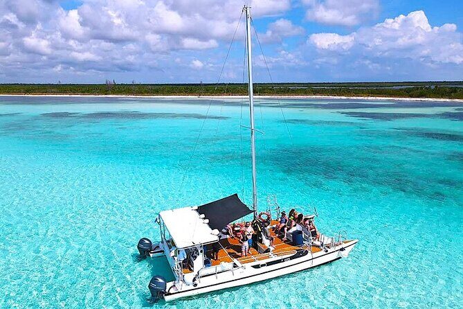 Catamaran Snorkeling to El Cielo and The Money Bar Beach Club - Who Will Love This Tour?