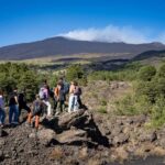 Catania: Etna Morning Tour with Transfer - Why This Tour Stands Out
