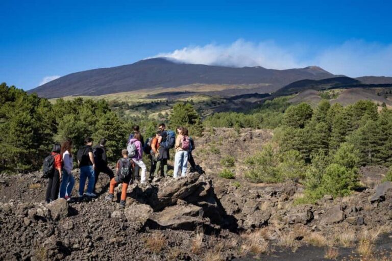 Catania: Etna Morning Tour with Transfer - Why This Tour Stands Out