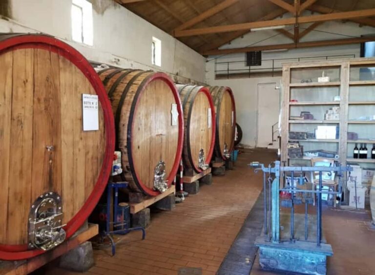 Catania: Etna Wine Tour and Culinary Experience - Why This Tour Works Well