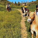 Catania: Guided Horseback Ride in Misterbianco Countryside - The Scenic Highlights
