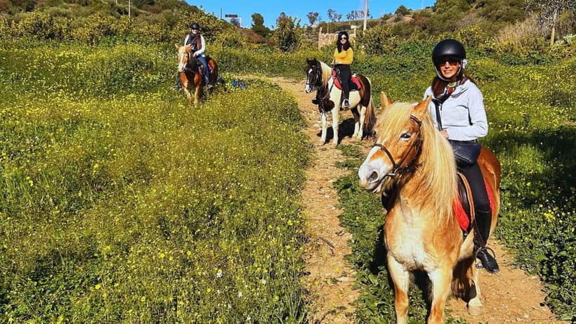 Catania: Guided Horseback Ride in Misterbianco Countryside - The Scenic Highlights