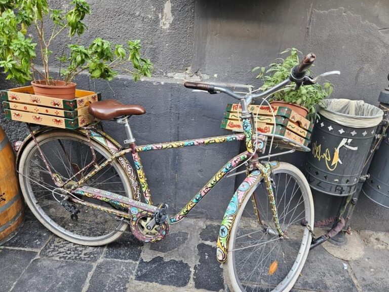 CATANIA MARKET & STREET FOOD departure from Taormina - What the Tour Includes and What to Keep in Mind