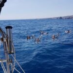 Catania Sail, spritz and fun at sunset - The Experience of the Hosts and the Boat