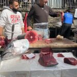 Catania: Street Food and History Walking Tour with Chef Coco - Who Is This Tour Best For?