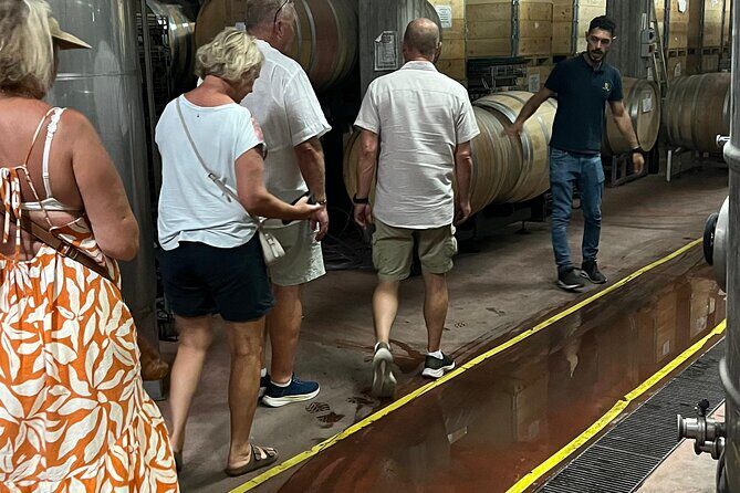 Catania: Wine Tour - The First Stop: Azienda Vinicola in Santa Venerina