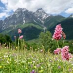 Causacus mountains at Majestic SVANETI and MESTIA from Kutaisi - Pricing and Value