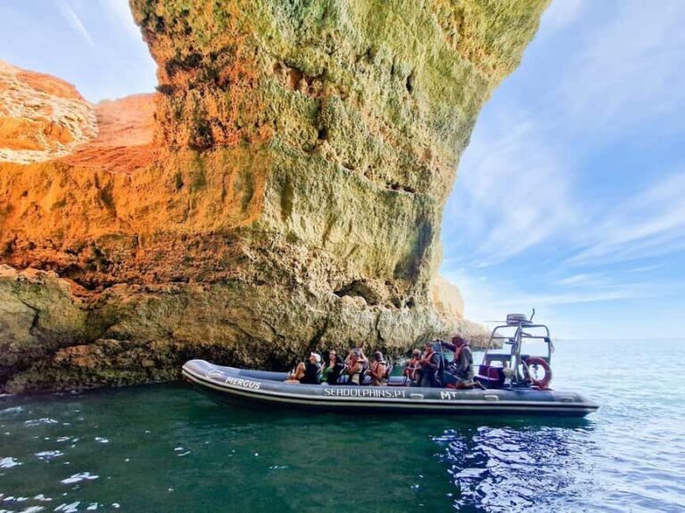 Caves & Dolphins - Combined Trip - The Experience: What We Think