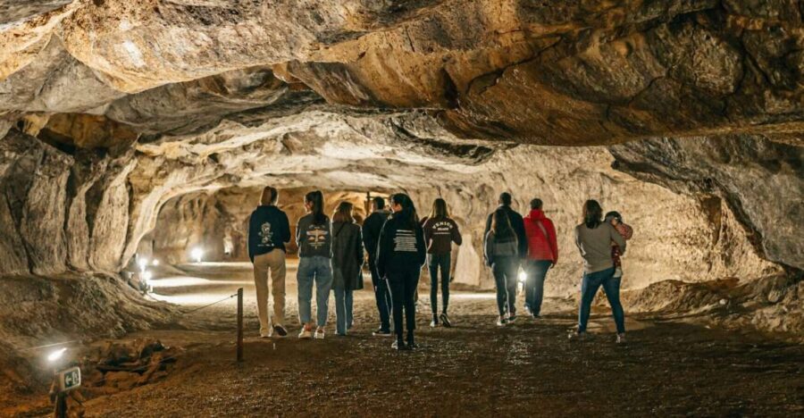Caves prehistory of Esplugues Francolí with hotel pickup - Who Is This Tour Best For?