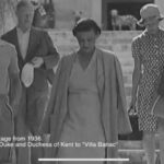 Cavtat: Guided Tour through Banac Gallery with Expert Guide - Value for Money