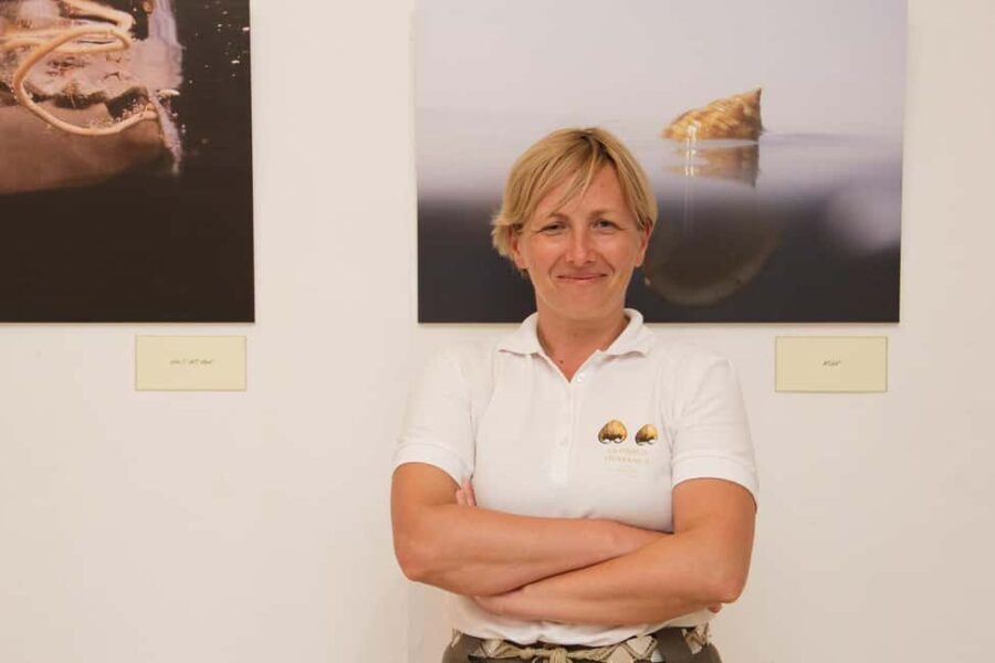 Cavtat: Shell Museum Private Guided Tour - The Value of the Experience