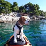 Cavtat: Sunset Guided Sea Kayaking Tour - Detailed Breakdown of the Itinerary