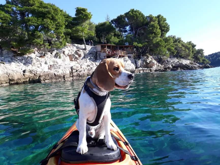 Cavtat: Sunset Guided Sea Kayaking Tour - Detailed Breakdown of the Itinerary