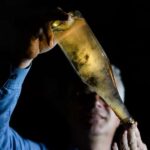 Cellar discovery tour with champagne tasting in Germany's oldest wine cellar - Practical Considerations