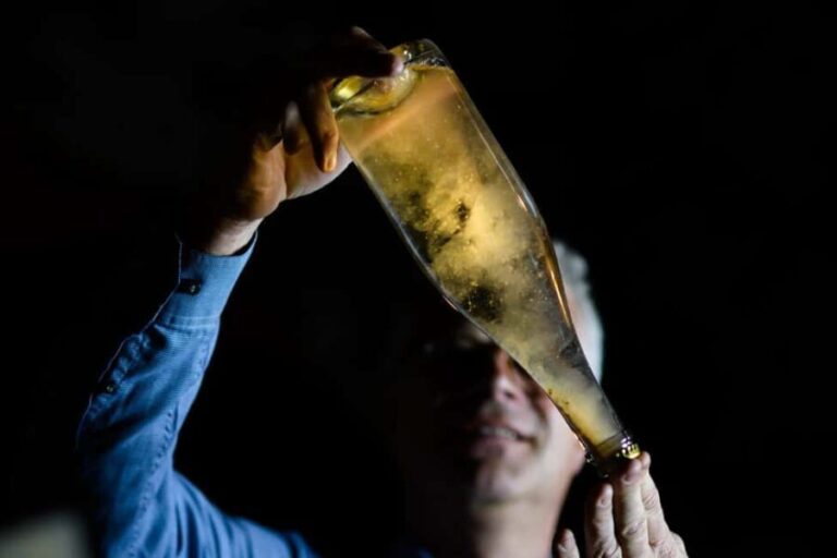 Cellar discovery tour with champagne tasting in Germany's oldest wine cellar - Practical Considerations