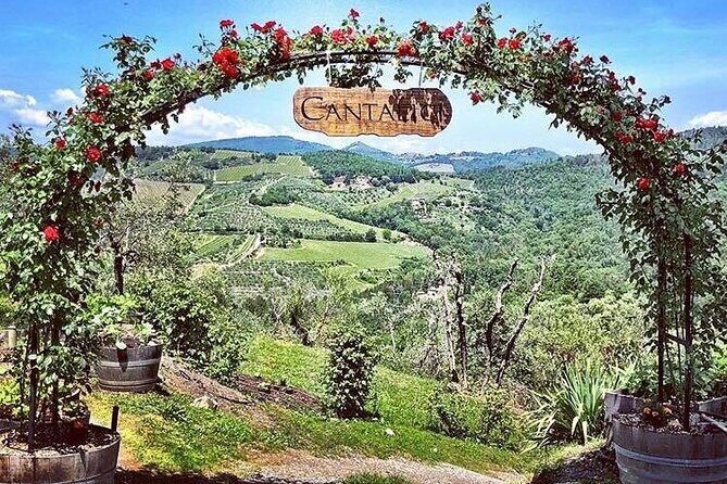 Cellar tour, Tasting of 6 wines, dish combined typical products - Exploring the Cantalici Cellar Tour: An Authentic Taste of Chianti
