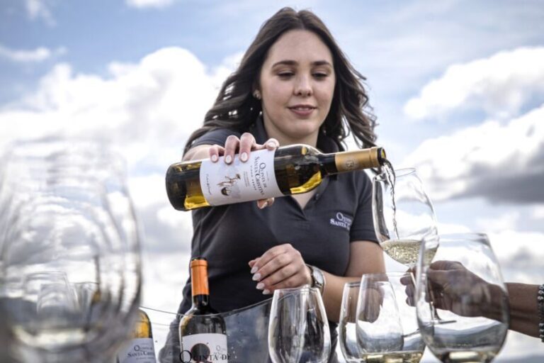 Celorico De Basto: Quinta de Santa Cristina Winery Tour - Practical Tips and What to Expect