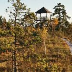 Cenas Bog trail near Riga for Nature lovers - Who is this tour for?