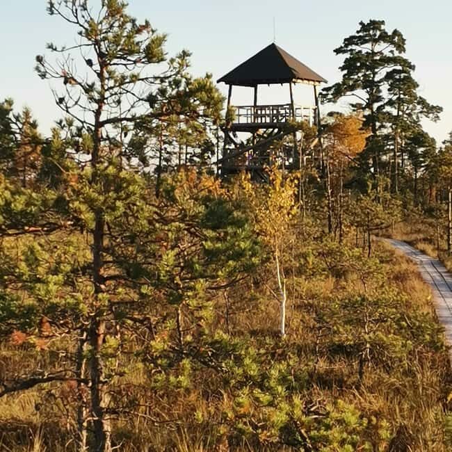 Cenas Bog trail near Riga for Nature lovers - Who is this tour for?