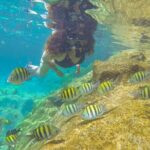 Cenote; Snorkeling and Photos with Colorful Fish - What to Expect: From Start to Finish