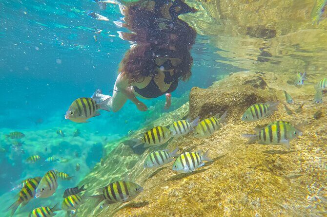 Cenote; Snorkeling and Photos with Colorful Fish - What to Expect: From Start to Finish