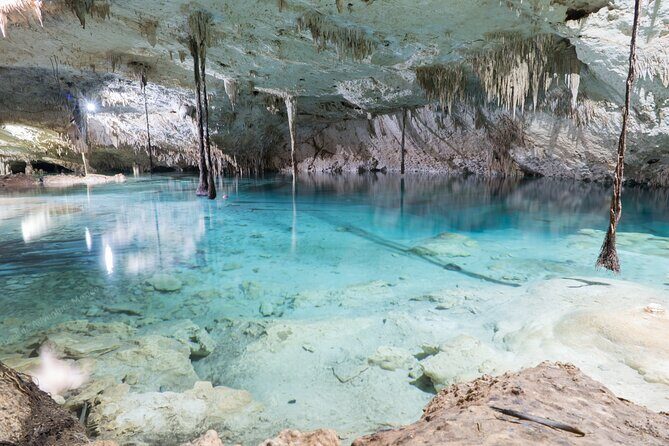 Cenotes Taak Bi Ha & Nicte Ha  VIP Snorkeling Private Tour - Whats Included and Whats Not
