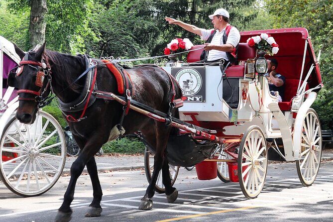 Central Park Carriage Ride w/ Drop Off @ Tavern On Green (45 min) - Practical Details & Tips