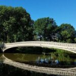 Central Park Private Horse and Carriage Tour - The Experience in Detail