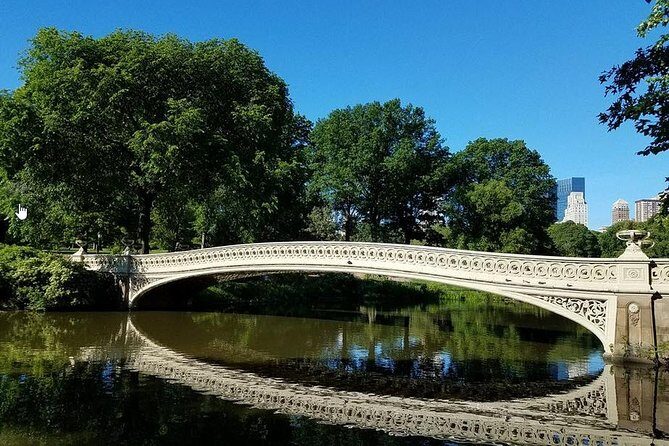 Central Park Private Horse and Carriage Tour - The Experience in Detail