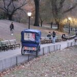 Central park Tour happy hour Pedicab tour - The Practicalities: What You Should Know