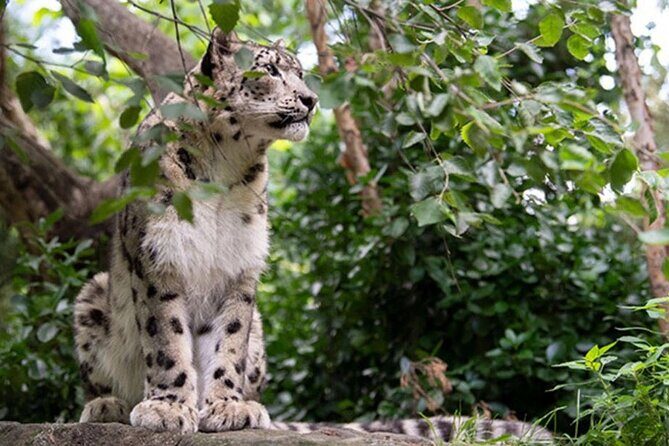 Central Park Zoo Admission Ticket with 4D Theater Access - An Honest Look at the Central Park Zoo