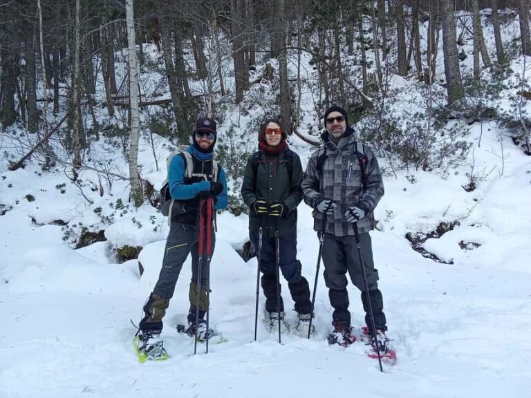 Cerdanya: Snowshoe tour through the forests and lakes of the Pyrenees - The Itinerary in Detail