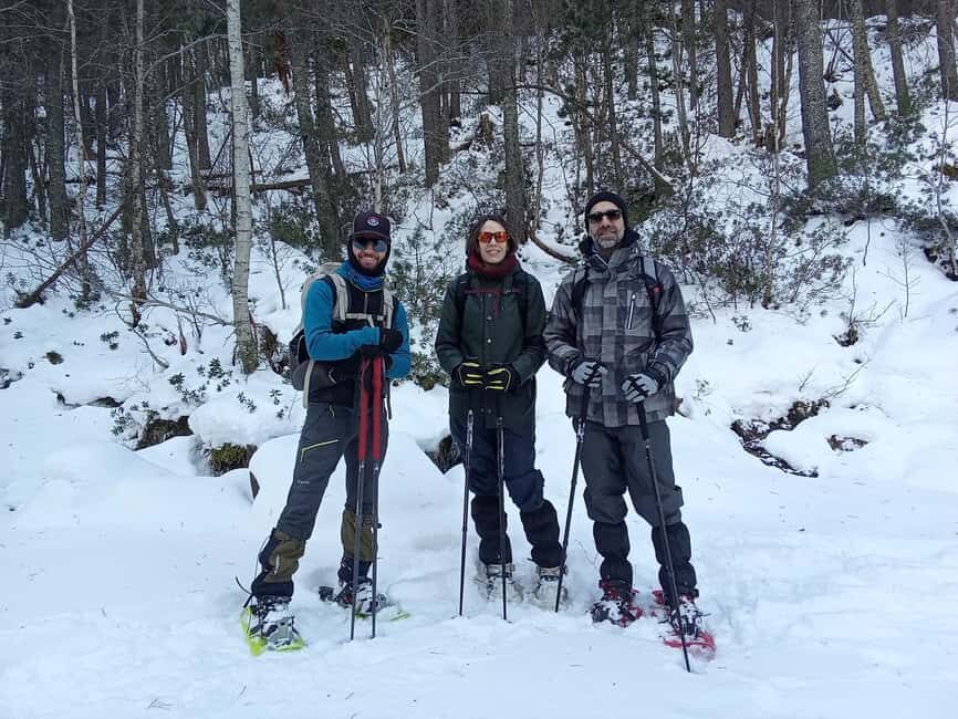 Cerdanya: Snowshoe tour through the forests and lakes of the Pyrenees - The Itinerary in Detail