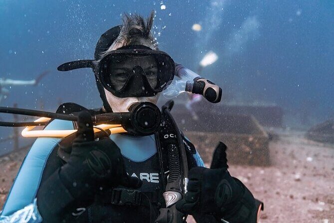 Certified Divers: Best 2-Tank Wrecks & Reef Boat Dive All Inclusive From Waikiki - What to Expect from This Dive Tour