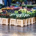 Cézanne Pathway : Wine and Art in Majestic Aix en Provence - Who Should Consider This Tour?