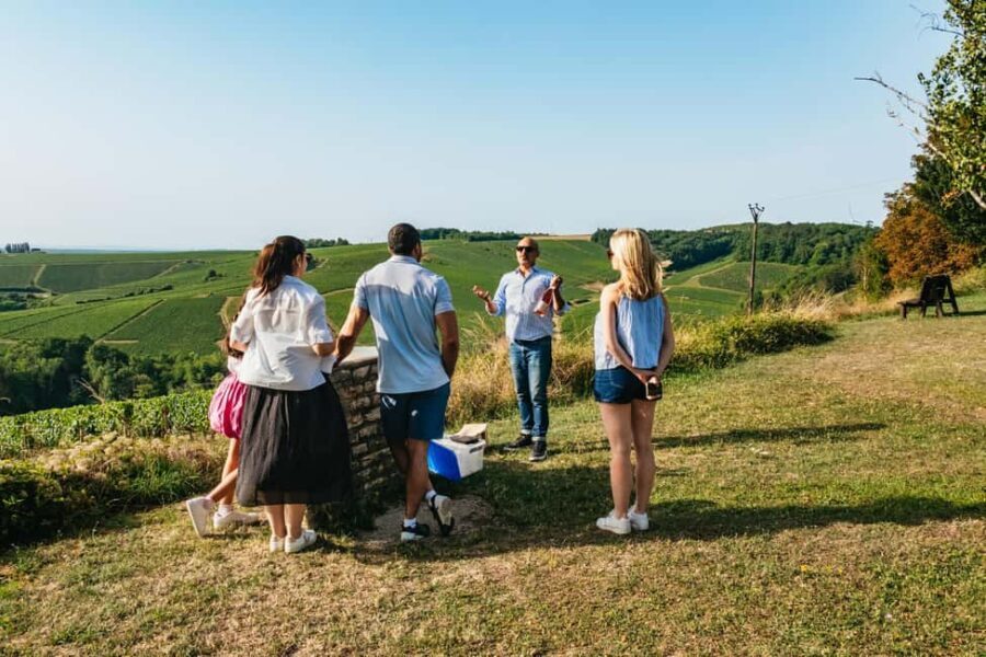 Chablis Day Trip From Paris including 8 tastings & lunch - What the Experience Feels Like