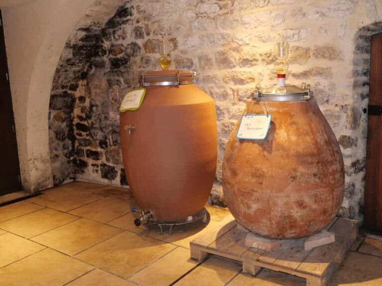 Chablis: Tour and tasting Family-run winery - The Value of This Tour