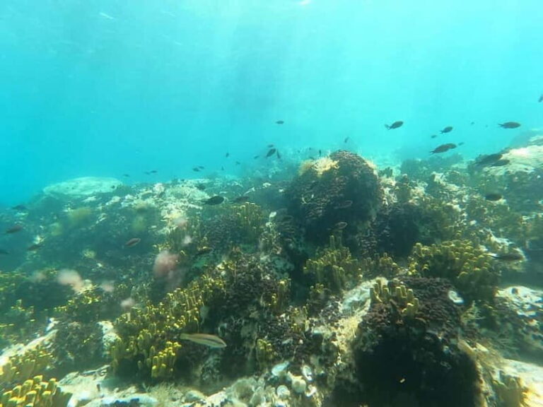 Chalkidiki: Snorkeling Adventure in Sithonia - The Itinerary Breakdown