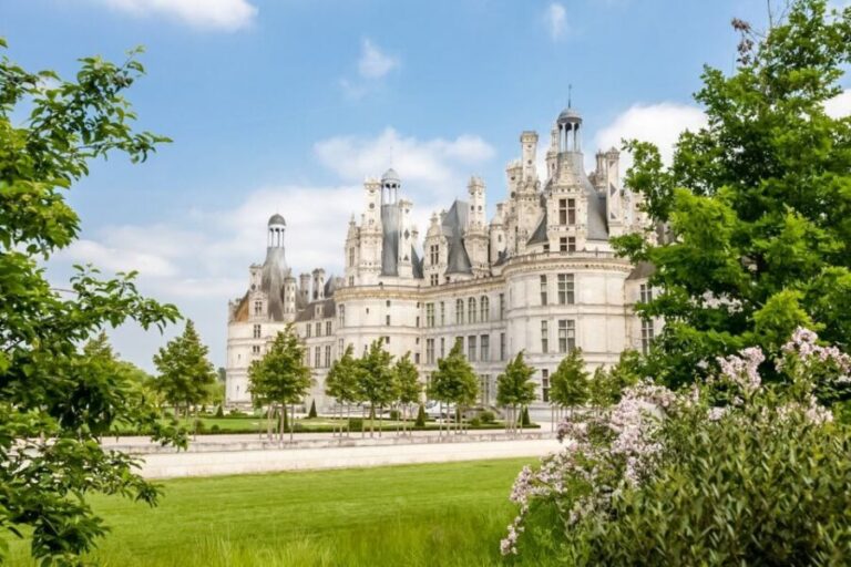 Chambord: Private Guided Tour of the Castle + Reserved Entry - Why Choose This Tour?